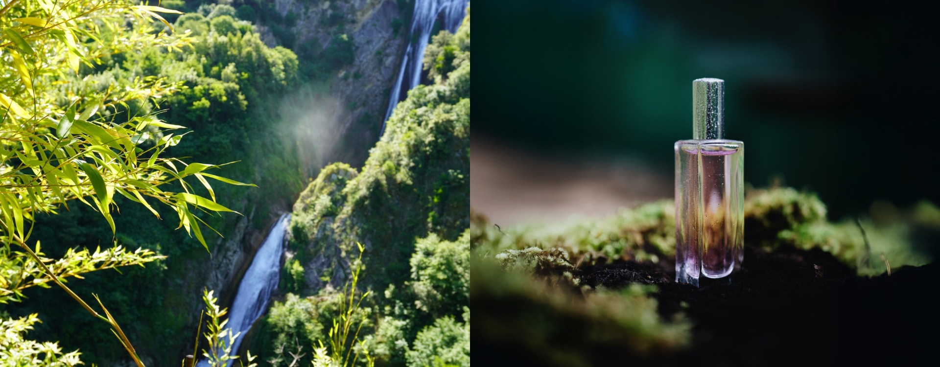 Lucrezia Alessandroni — Olfactory Echoes