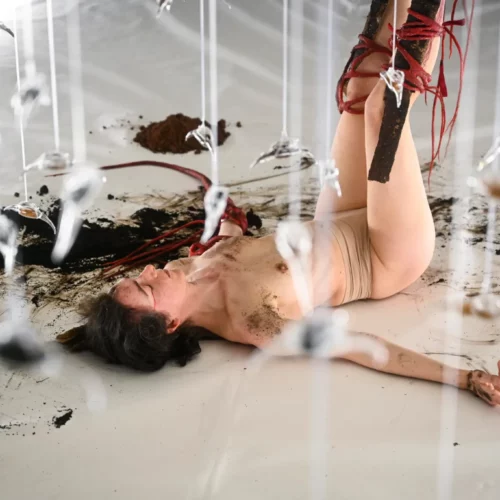 Liminal Practices: being disobedient and transfeminist