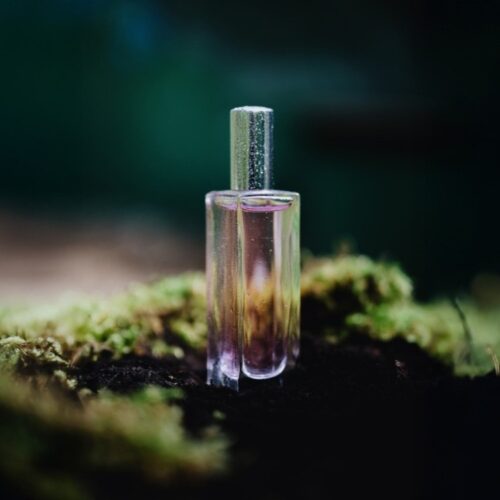 ROOM 05. Lucrezia Alessandroni  —  Olfactory Echoes