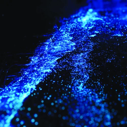 ReSilence: Future Soundscapes & Affect Mining in Urban Ecosystems