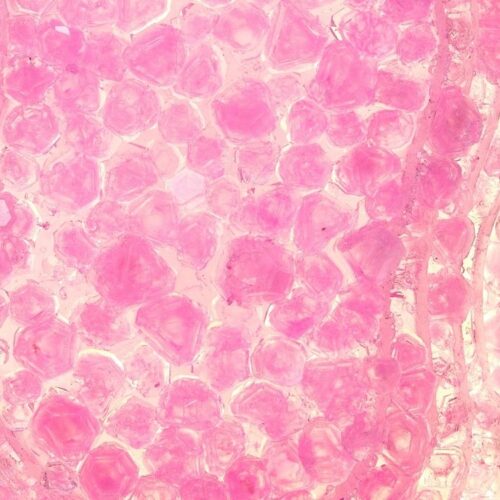 Studio Elisabeth Seidel — Crystals, Baby!