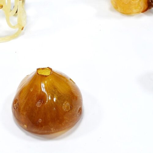 Gabriele Nasole — Cetacæ