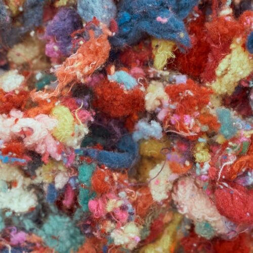 Gabriele Nasole — Cetacæ