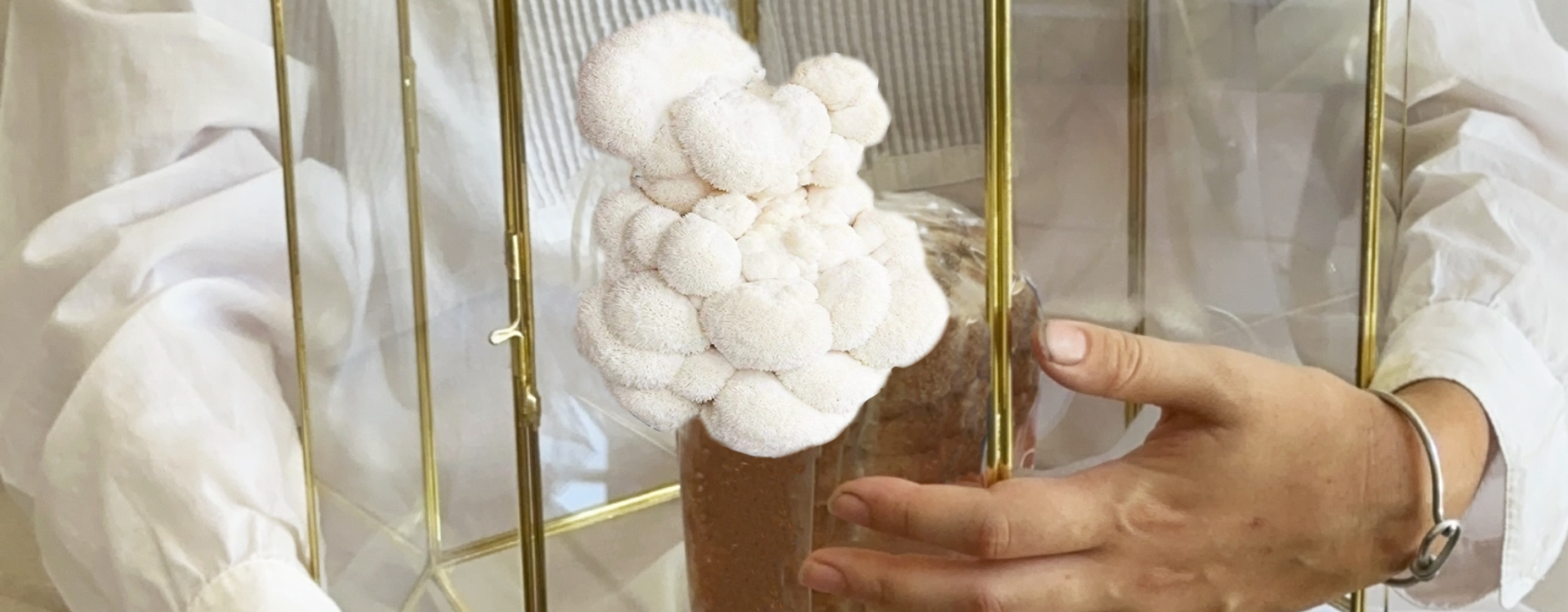 Alter Atelier — The Fungierie