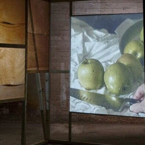 Gabriele Nasole — Cetacæ