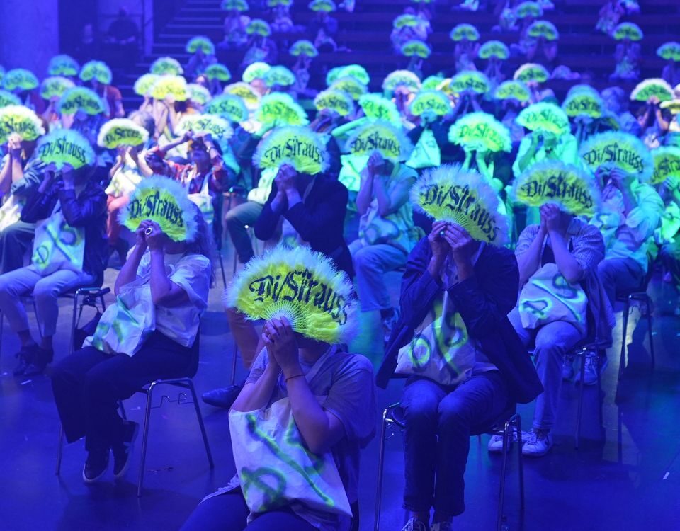 di/STRAUSS Technique