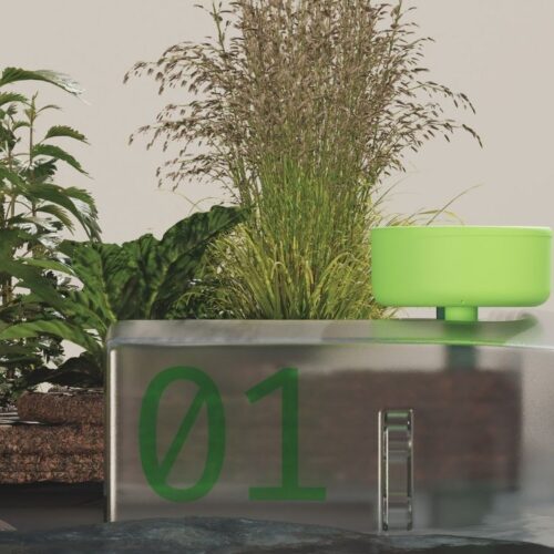 Dafne Argondizza, Camilla Piantanida, Riccardo Zambelli, Matteo Bernasconi  — Lilipur