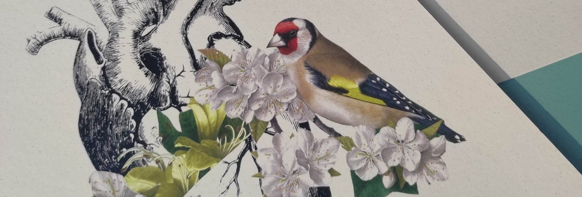 Serigrafia e collage