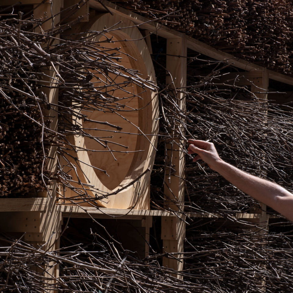 ISSUE #09. Tangled Rituals, Urban Choreographies