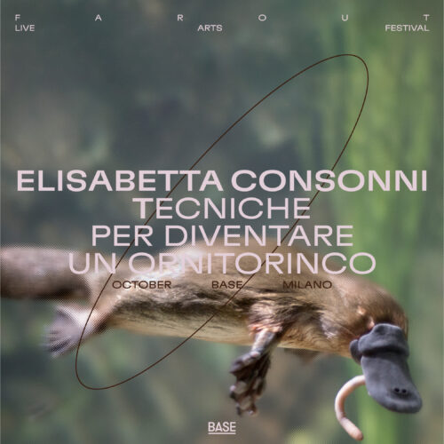 Elisabetta Consonni — TECNICHE PER DIVENTARE UN ORNITORINCO