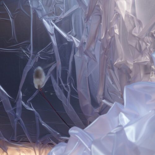 ReSilence: Future Soundscapes & Affect Mining in Urban Ecosystems