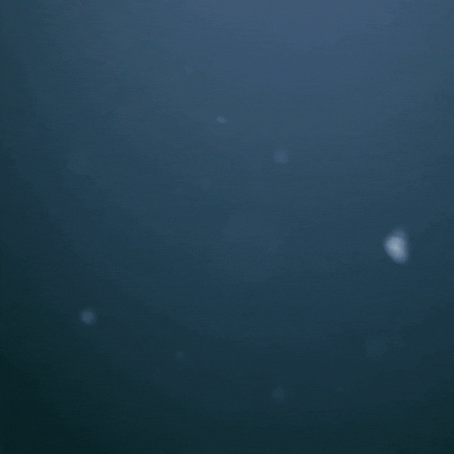 ISSUE #12. In dark times, keep your eyes open.