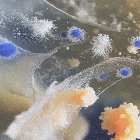 ISSUE #11. The Sound of Silence