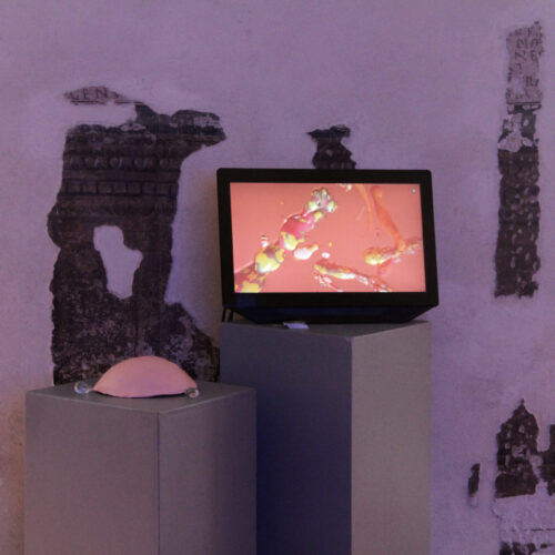 Sara Bonaventura — Plasticenta