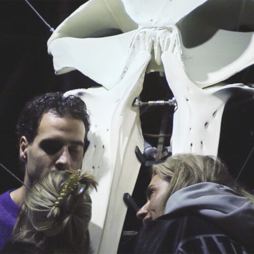 Gabriele Nasole — Cetacæ