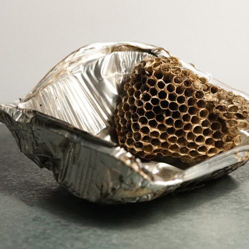 Gigi Totaro — Postnatural Remains