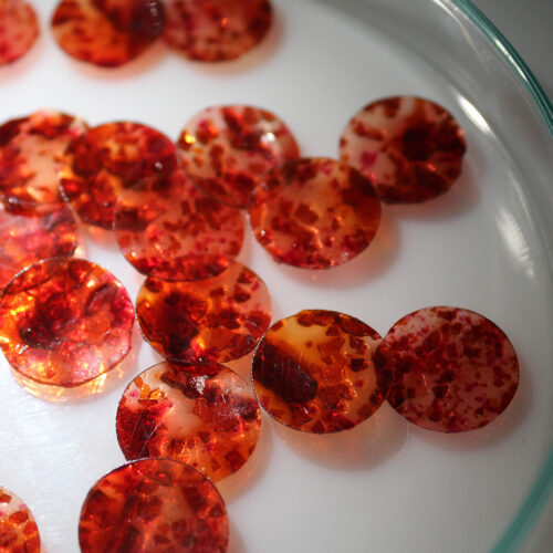 Cassie Quinn — Transient Gradients