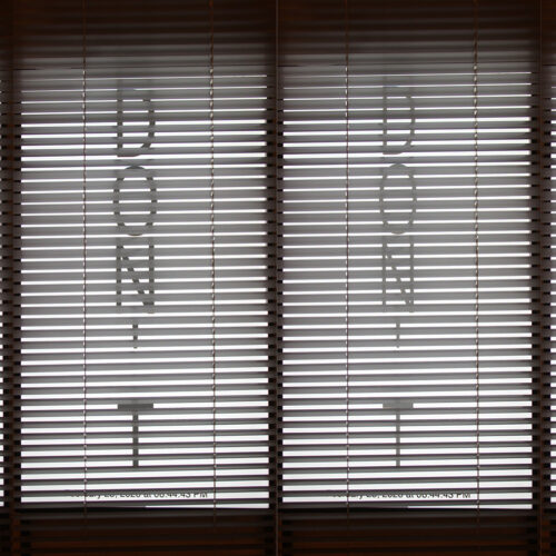 Ginevra Petrozzi — Many Lives Calendar