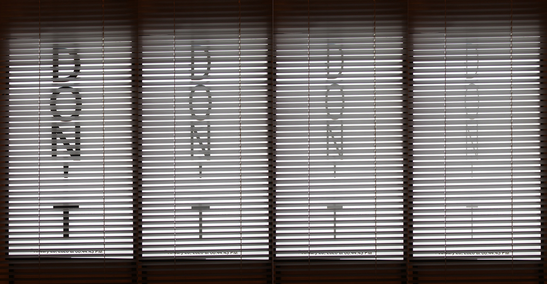 we will design 2026 ginevra petrozzi